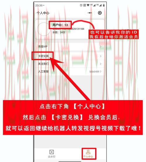 如何获取博雅体育登录链接详细步骤